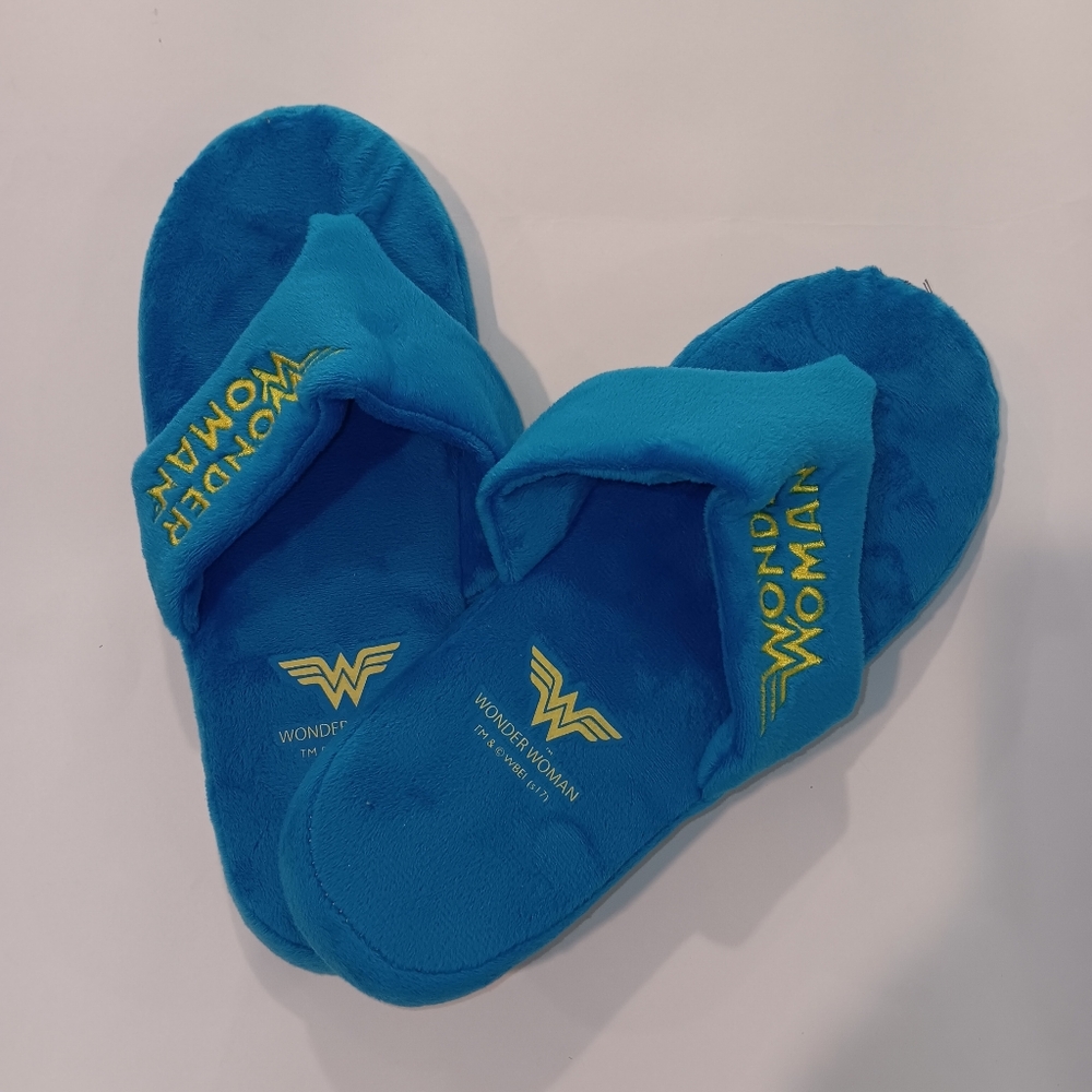 Plush Turquoise Slippers